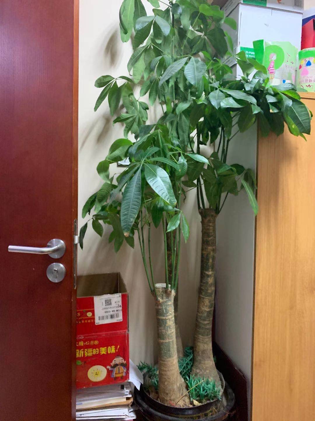 智联招聘猎聘大量简历流入黑市---网站及个人的法律责任
